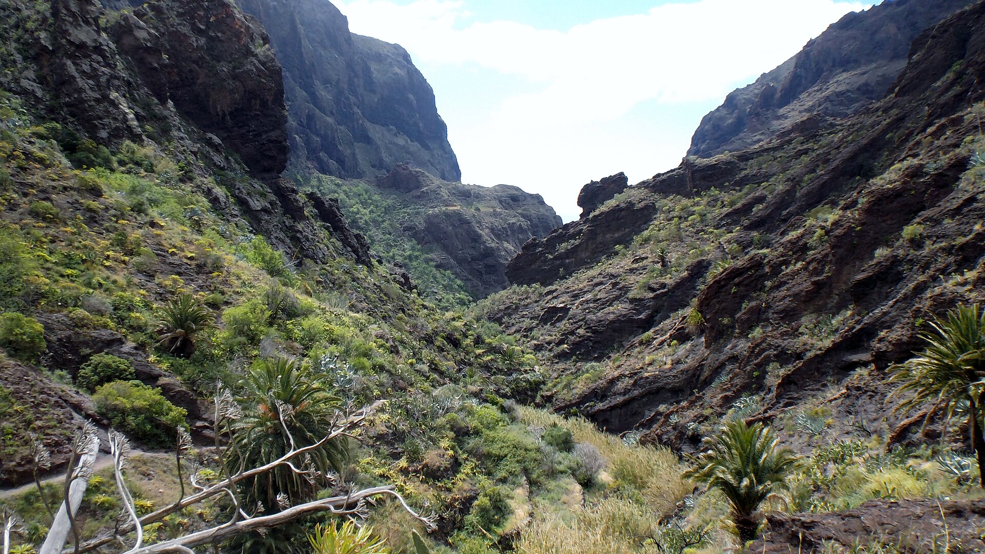 Interior del Barranco de Masca en Tenerife