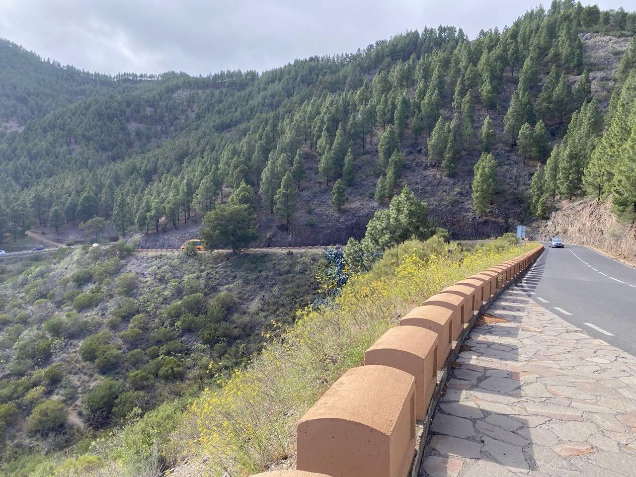 Mirador del Teide
