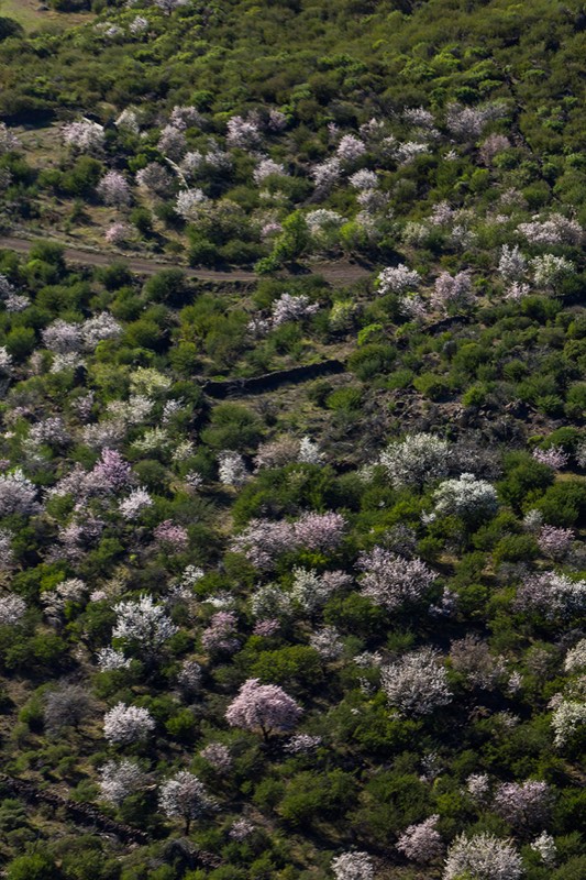 Paisaje rural de Valle de Arriba